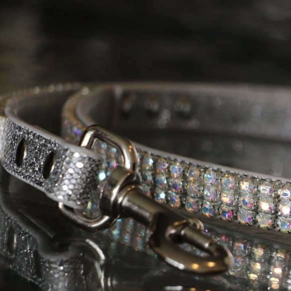 Runway Ready - Glammed Out Pet Leash - Picture 4 of 10